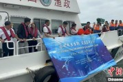免费测算浙江今年计划放流种类海洋水生生物苗种超15亿单位