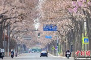 免费测算共建“花园城市” 北京这场议政会“百花齐放”