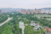 免费测算西宁市举办六五环境日主题宣传活动