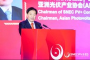 免费测算SNEC大会开幕 朱共山：这一年大家都过得不容易 困难是暂时的